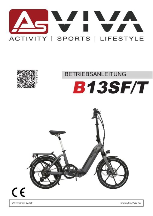 E-Bike Folding Bike B13