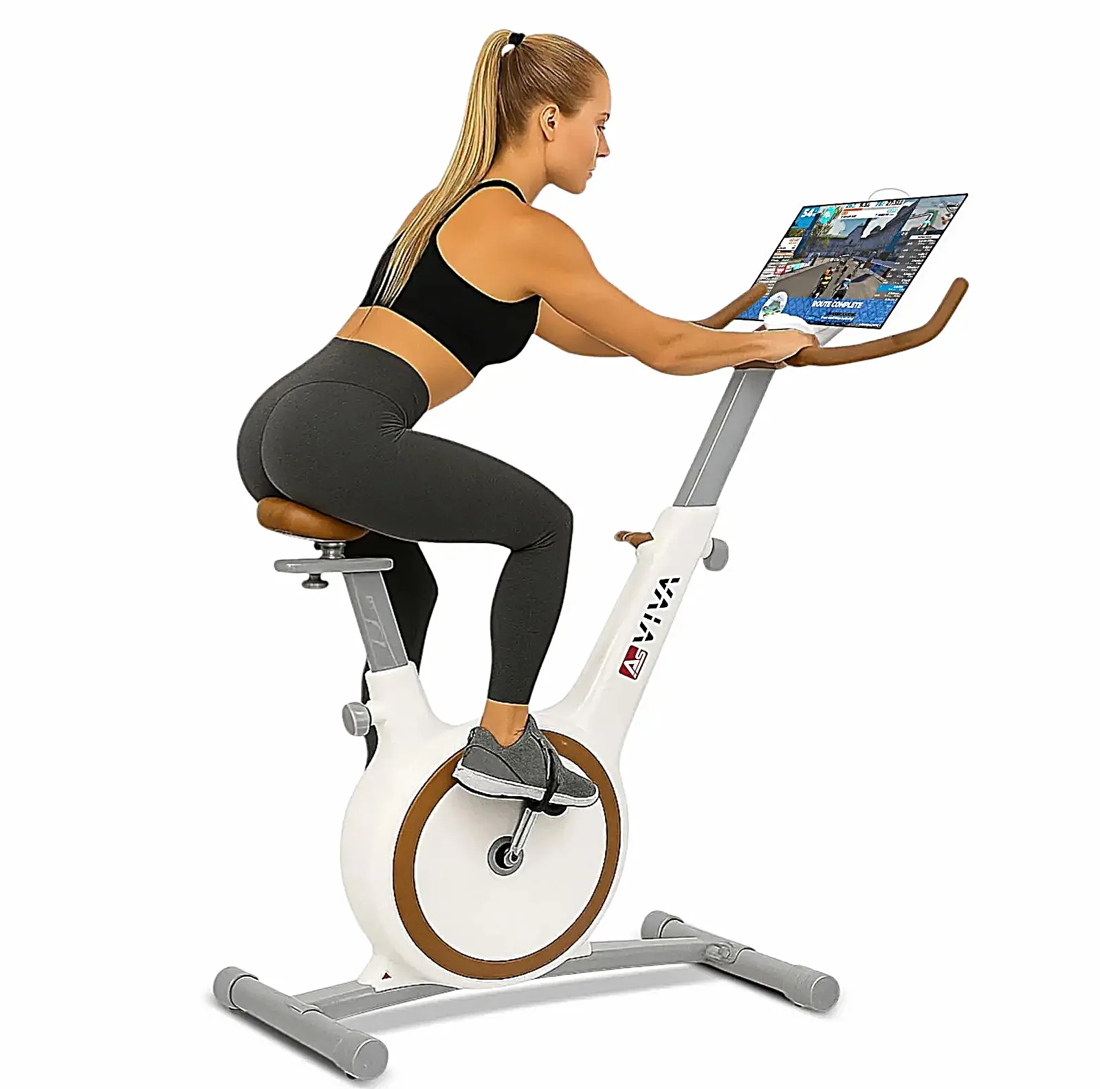 AsVIVA H12 ergometer Speedbike – features at a glance