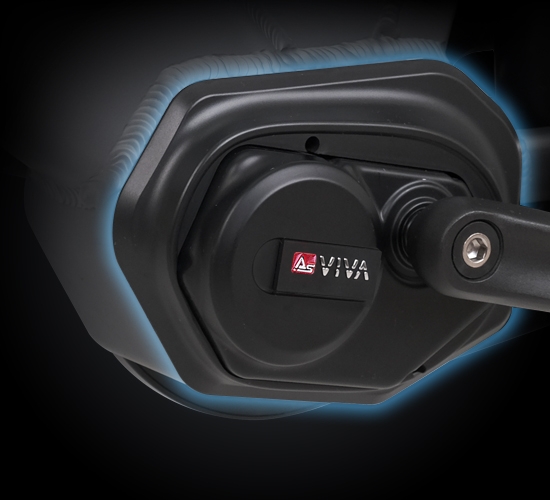 Powerful 250 W AsVIVA DynamiX M mid-motor