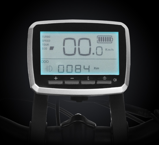 Smart LCD display with all ride data