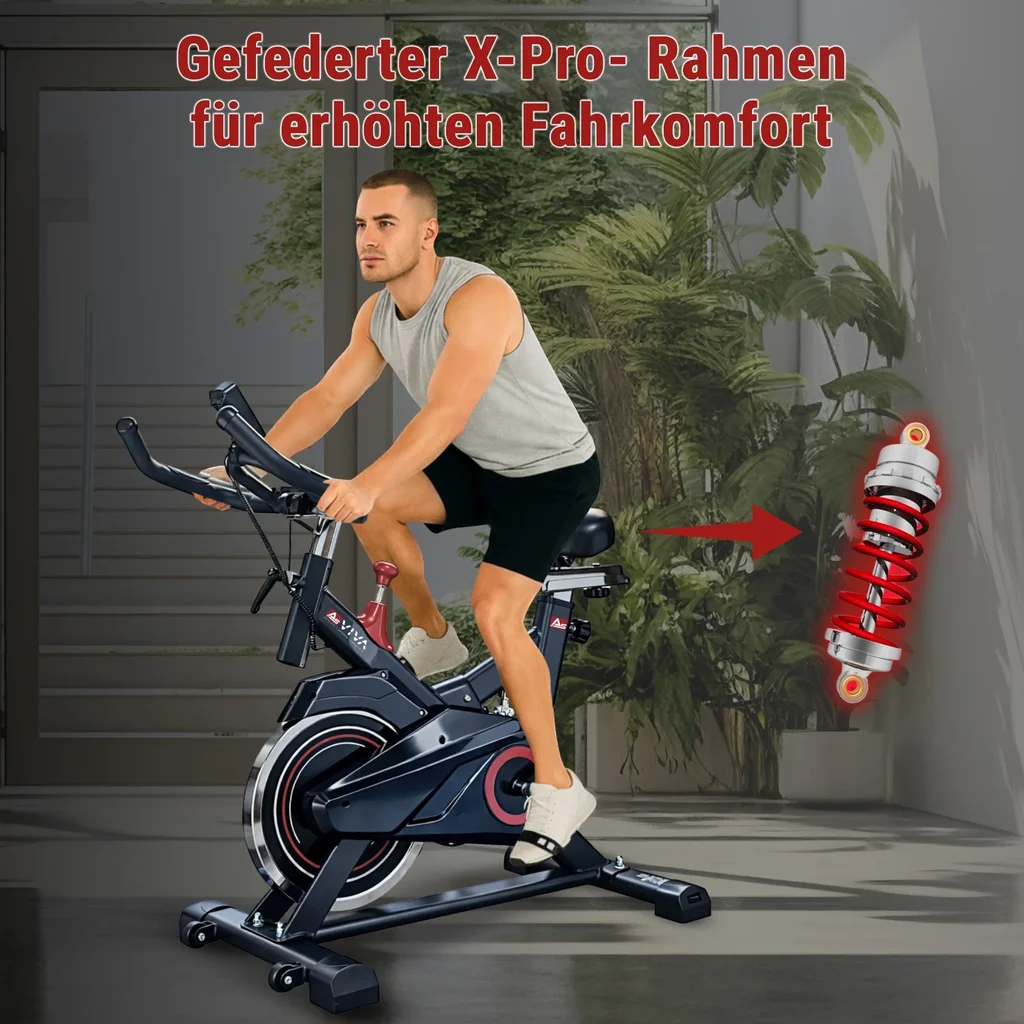 AsVIVA Speedbike Tour S11 – Frame