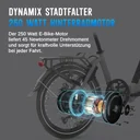 AsVIVA E-Bike Folding Bike Stadtfalter B13 – Rear wheel motor
