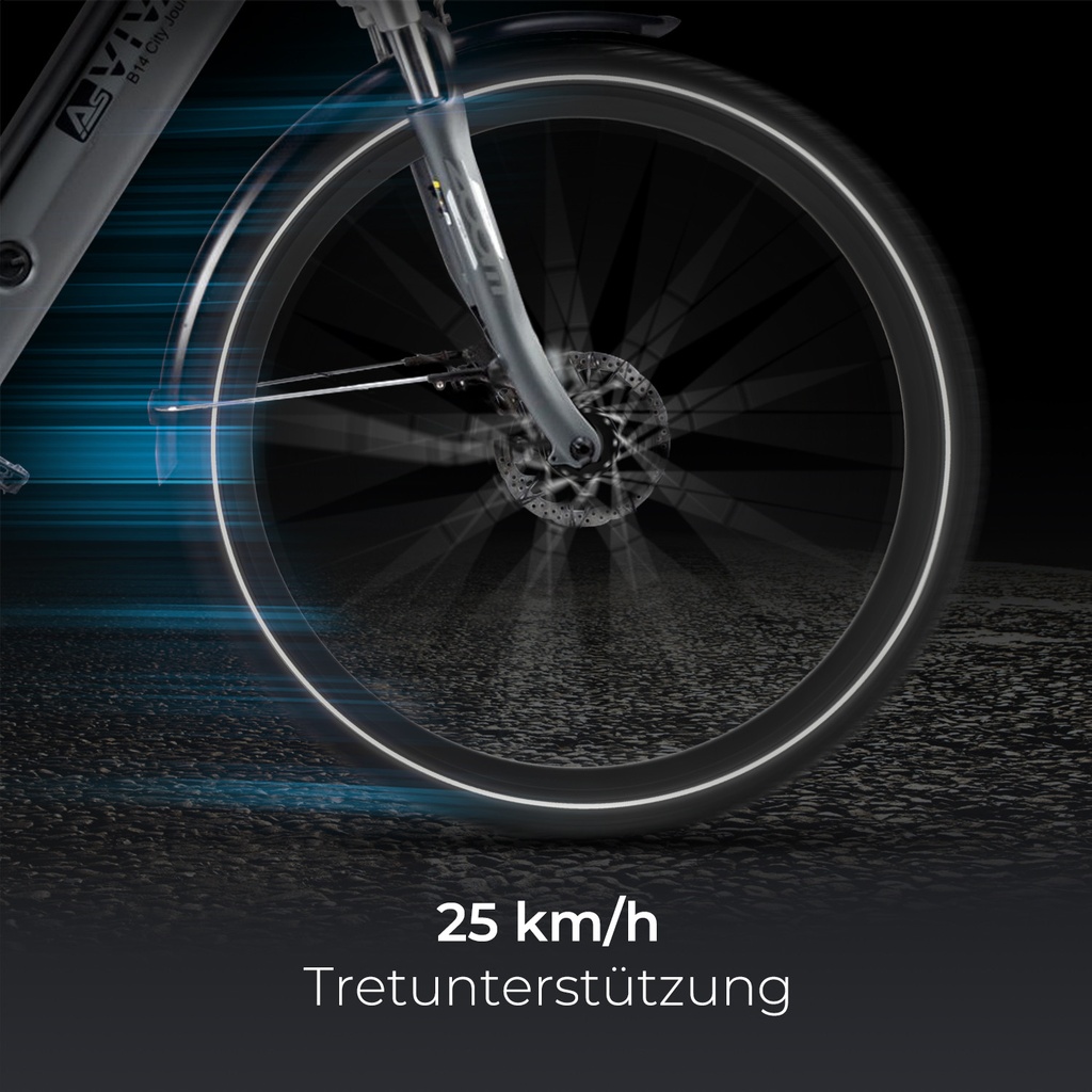 AsVIVA City E-Bike Stadtfalter B14 – Gray/White – View 7