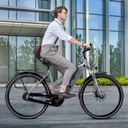 AsVIVA City E-Bike Stadtfalter B14 – Gray/White – View 11