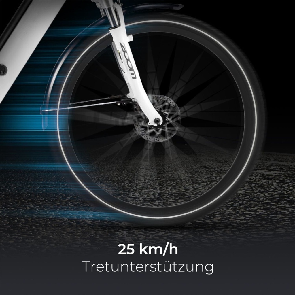 AsVIVA City E-Bike Stadtfalter B14 – Gray/White – View 6