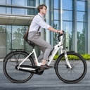 AsVIVA City E-Bike Stadtfalter B14 – Gray/White – View 10