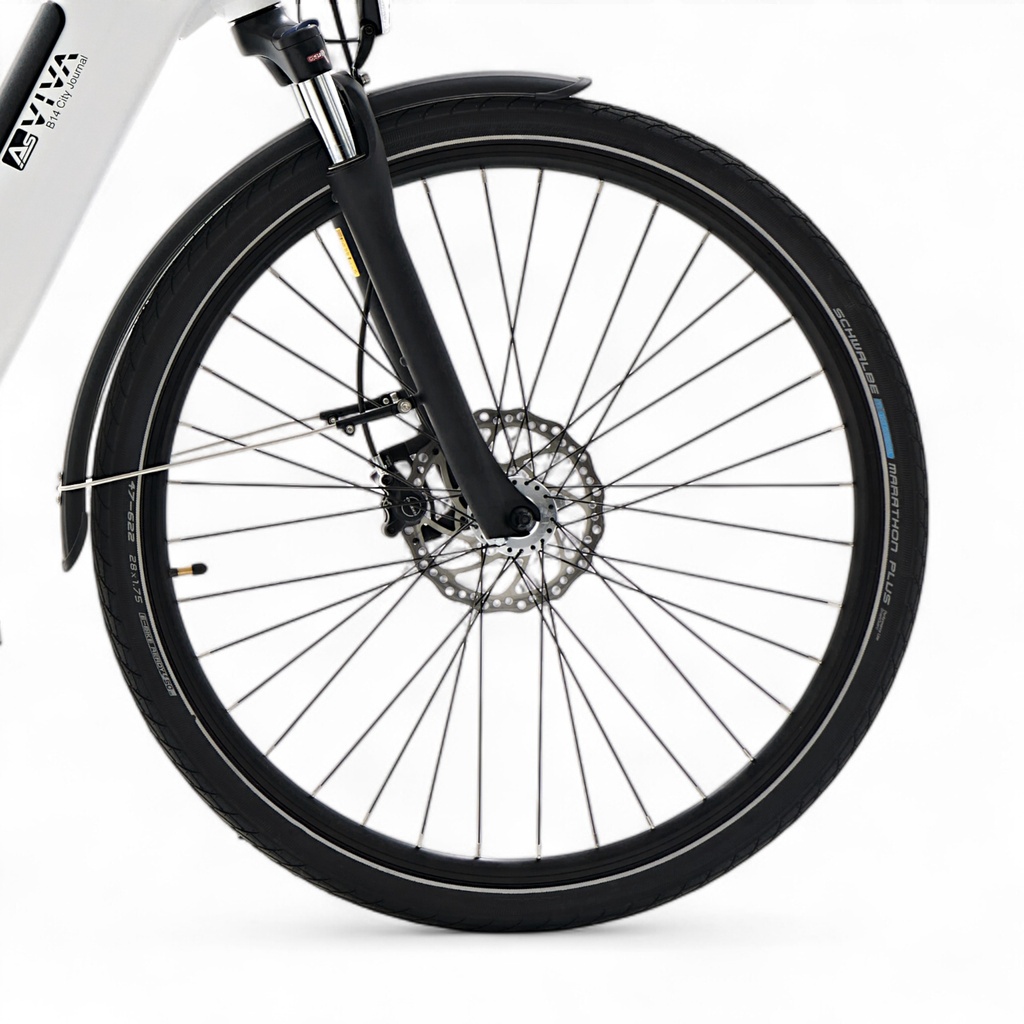 AsVIVA City E-Bike Stadtfalter B14 – Gray/White – Tires