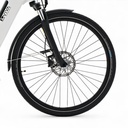 AsVIVA City E-Bike Stadtfalter B14 – Gray/White – Tires
