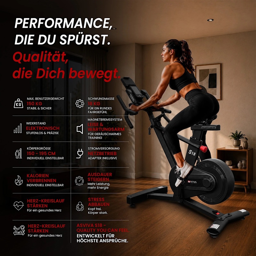AsVIVA Speedbike Power S18 Pro – View 2