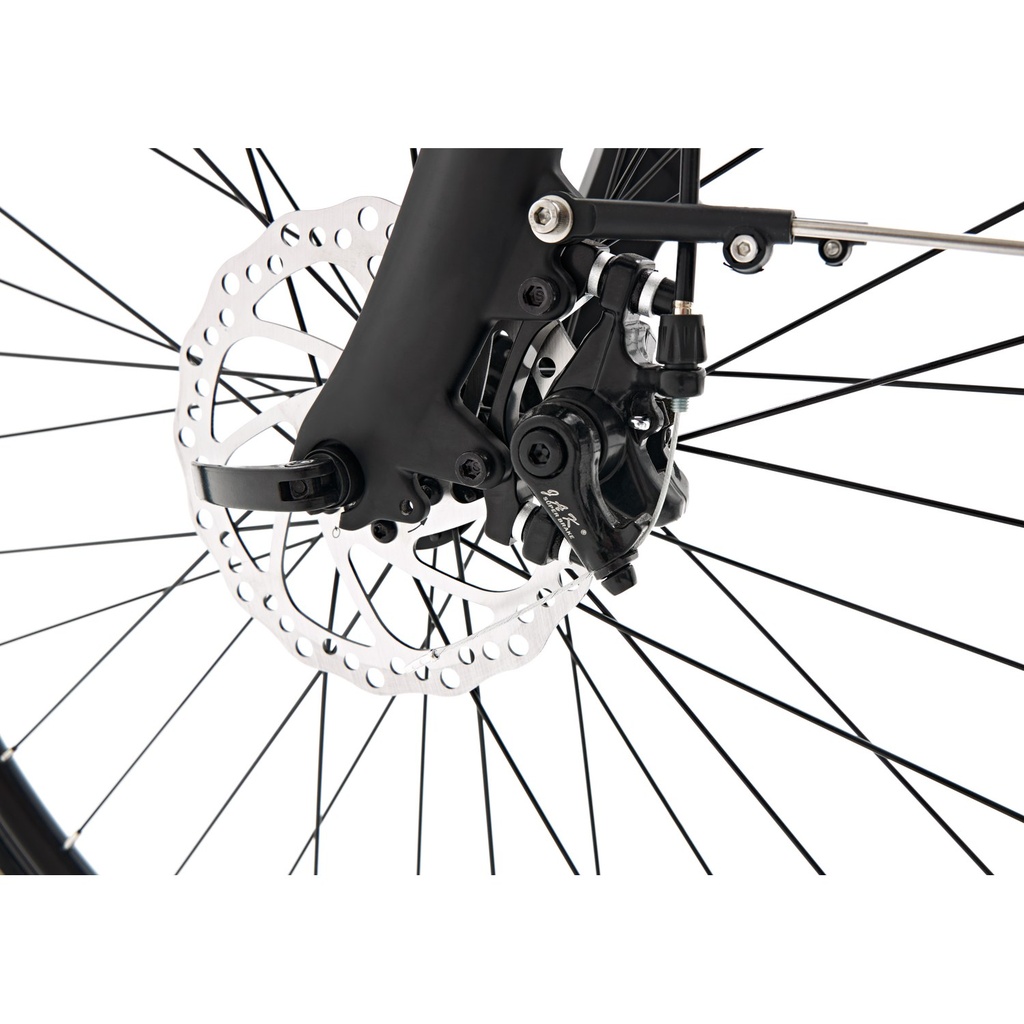 Tektro Disc Brake on the B15 in Gray